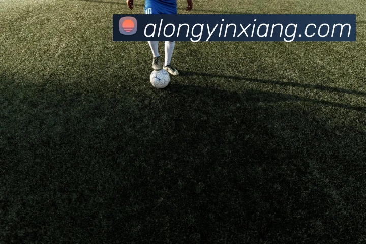 App功能展示图