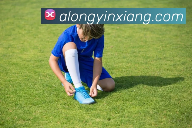 奖项证书